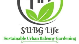 Best eco-friendly gift for rakshabandhan @subglife