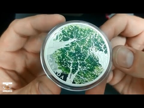 Collectors Close up - Canadian Canopy, the Maple Leaf 2 oz Silver Coin by the Royal Canadian Mint