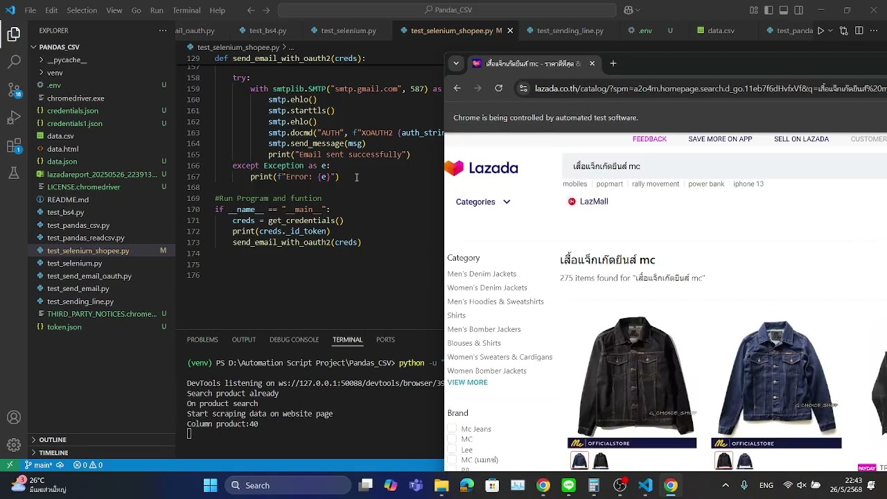 Website Scraping - Python web scraper for Shopee or Lazada product data - 2