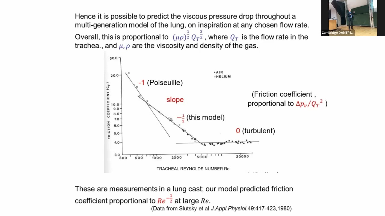 Fifty years of Biological Fluid Dynamics: Tim Pedley
