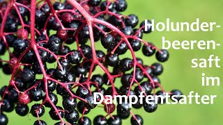 Dampfentsafter benutzen | Holunderbeeren Saft DIY