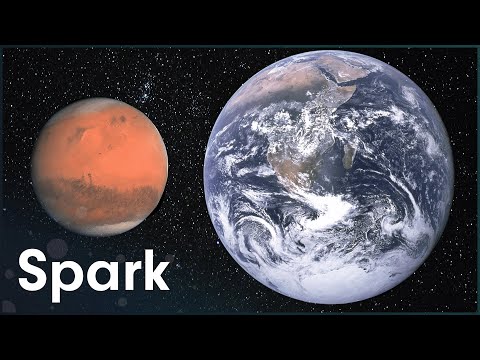 Did Life On Earth Come From Mars?