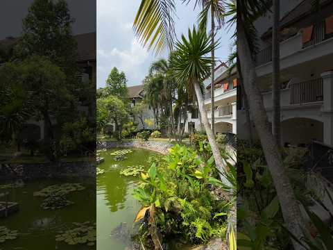 🌴PINNACLE GRAND JOMTIEN RESORT & BEACH CLUB 4*, Паттайя Таиланд - хороший отель 👍