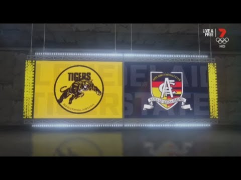 SANFL Round 15 Glenelg Tigers Vs Adelaide Crows 2019 Highlights