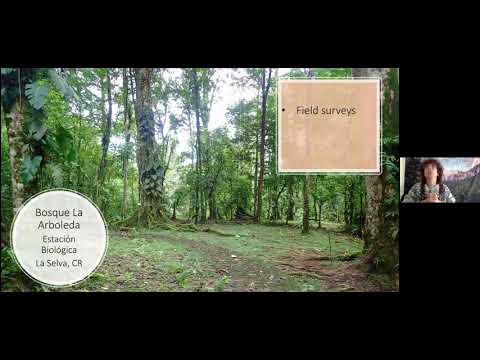 EC167-Leticia Classen-Rodríguez: Los efectos de autotomía en el éxito copulatorio de un opilión