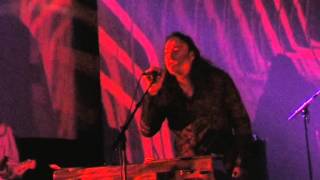 Spids Nøgenhat nr 5 Den Gennemsigtige Mand