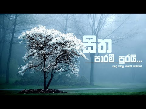 Manjula Dilrukshi - Sitha Parami Puwrai (Sande Sisila CD) #sinhalasongs #manjuladilrukshi #youtube