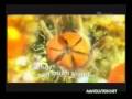 Iklan ABC Squash 2008
