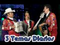 De Harina y de Maiz__Los Tigres del Norte  en San Jose California USA en Vivo (Año 2007)