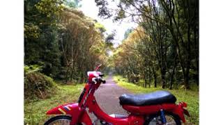 Download lagu Snap wa keren memori berkasih mp3