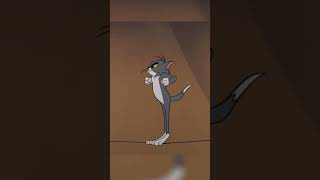 Tom and Jerry at the circus #cartoon #animation #tomandjerry #funny