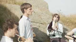 Go Down Old Hannah - The Dixie Ticklers