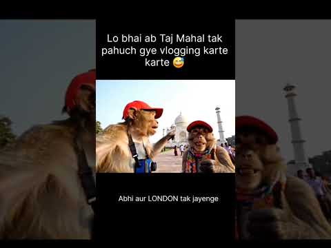lo pahuchh gye taj Mahal #trending #viral #vlok