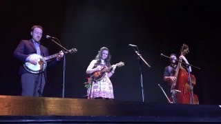 Sierra Hull - What Do You Say