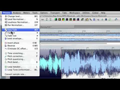 WaveLab Mastering 102: The Audio File Workspace: Editing and Metering - 19. Applying Fades and Silen
