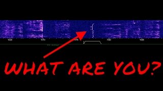 STRANGEST Shortwave Radio Frequency Sound You'll Ever Hear - 7077.6 kHz