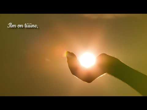 Taevakaarelt langeva tähe - Laura Junson