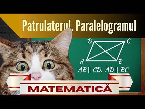 PATRULATERUL și PARALELOGRAMUL - Geometrie explicată clar | Clasa a 7-a