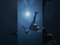 Amazingspiderman Supremacy Gaichite Edit Amazingspiderman2 Peterparker Andrewgarfield Marvel 4k Mcu