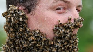 20 PEOPLE COVERED IN BEES