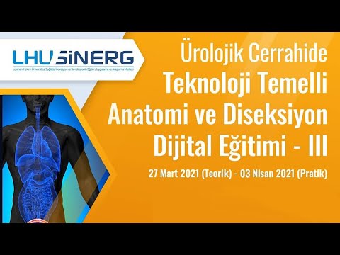 Ürolojik Cerrahide Teknoloji Temelli Anatomi ve Diseksiyon Dijital Eğitimi III