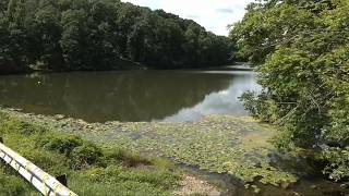 Repairs to Butler County dam face heavy challenges, could cause community to lose a lake
