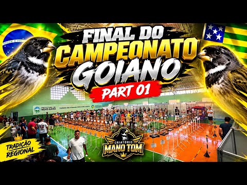 FINAL DO CAMPEONATO GOIANO ACPNG NOVO GAMA GO, DESTAQUE PRA O TRINCA FERRO XIRU DO JOAO LEITE 