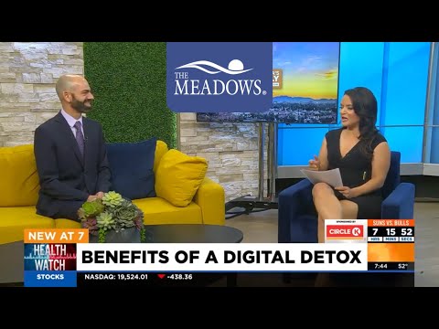 The Meadows on Arizona's Family: Benefits of a Digital Detox