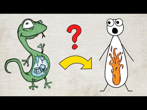 恐竜が温血動物になったとき