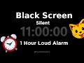 Black Screen 🖥 11 Hour Timer (Silent) 1 Hour Loud Alarm  | Sleep and Relaxation