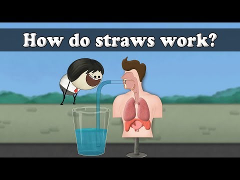 ストローってどうやって使うの？| ストローってどうやって使うの？ (How do straws work? | #aumsum)