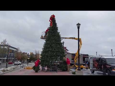 download lagu mp3 mp4 Christmas Trees Chattanooga Tennessee, download lagu Christmas Trees Chattanooga Tennessee gratis, unduh video klip Christmas Trees Chattanooga Tennessee