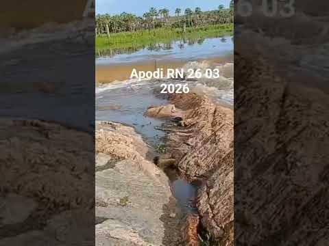 açude dos freires Apodi RN.#chuva#açude #sangria nordeste