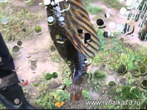 Щука на "обжорку"