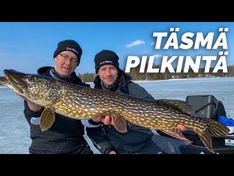 Uusi mullistava tekniikka: HAUEN TÄSMÄPILKINTÄ