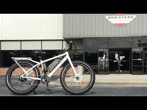 2021 SSR Motorsports Sand Viper 500W in Greenville, North Carolina - Video 1