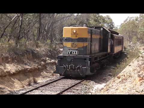 Victorian Goldfields Railway - Victorian Railways Y Class Locomotive