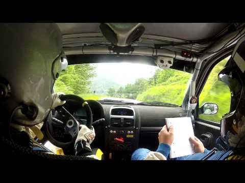 Puccetti-Salvetti abeti 2012.MP4