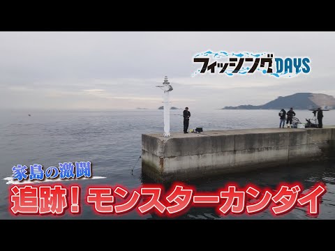 【フィッシングDAYS】#102 家島の激闘 追跡！モンスターカンダイ