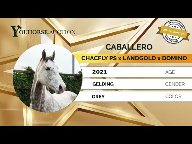 Caballero