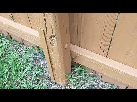 Repair a Wobbly Fence Post