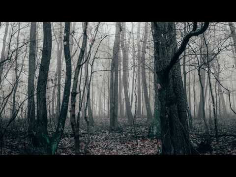 Stage Van H: Paramythi (Original Mix)