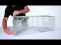How To Set Havahart Large 1 Door Trap Model 1079 For Raccoons Cats Groundhogs And Opossums
