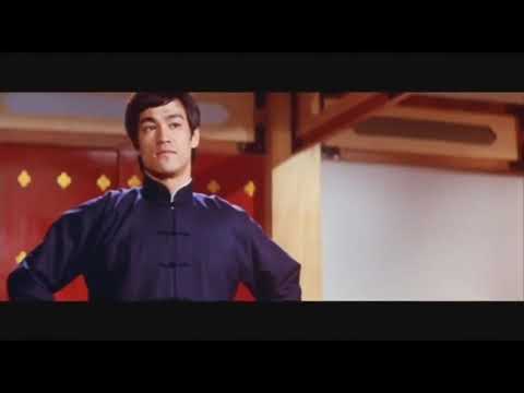 Animal - Lowtops x Bruce Lee (Fan Video)