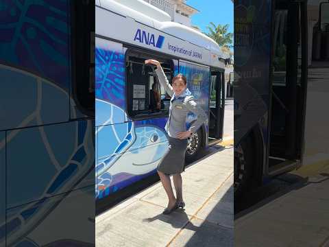 Shall we go with you?🌺🐢#allnipponairways #hawaii #honu #flyinghonu #honolulu #waikiki