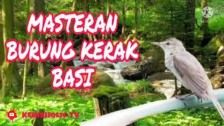 Download lagu MASTERAN BURUNG KERAK BASI JERNIH GEMERICIK AIR mp3