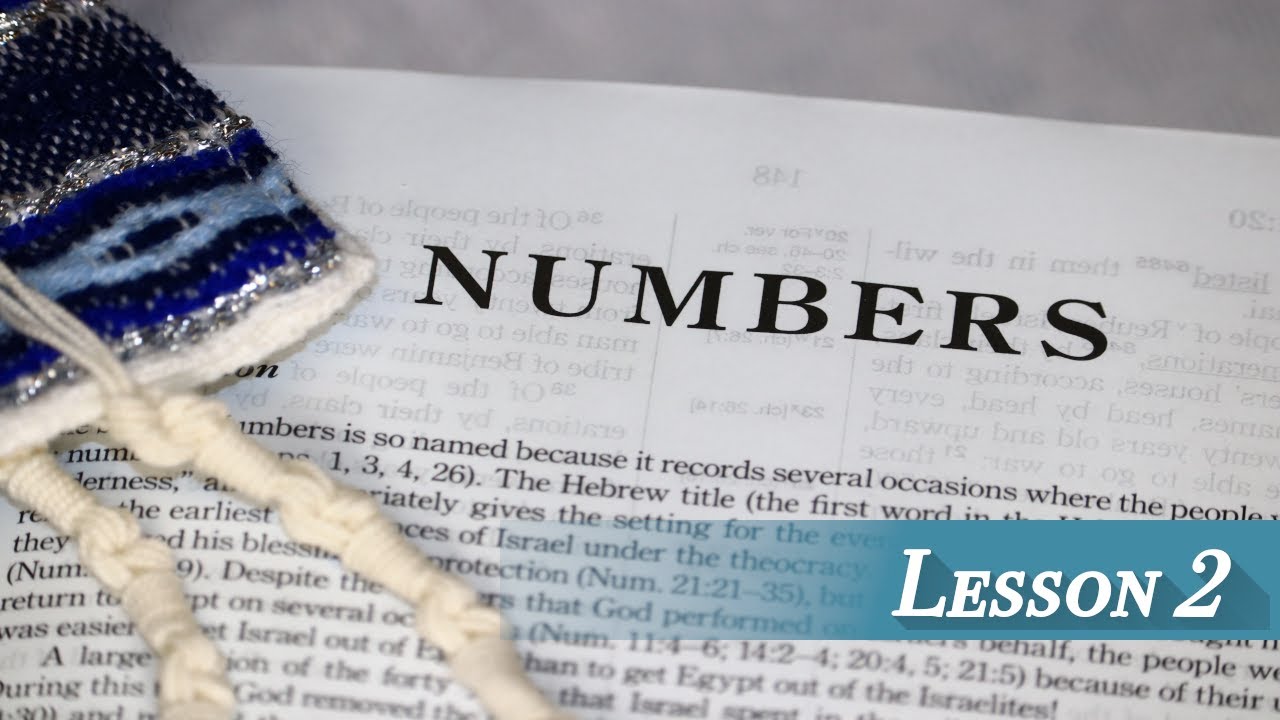 Lesson 2 - Numbers 1