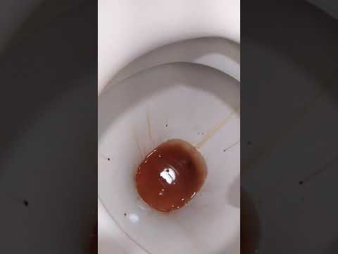 Пранк над бабушкой. У меня начились месячные....