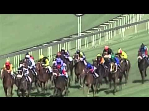 Gauteng Fillies Mile (Grade 3) 2013