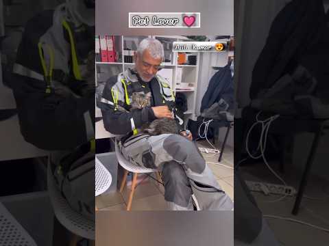 Pet Lover 😻 Ajith Kumar 😍 AK cute lovely moment with Cat #ajith #ajithkumar #cat #catlover video